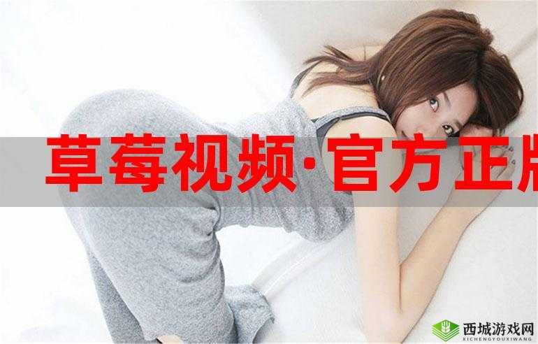 草莓视频深：精彩内容等你发现