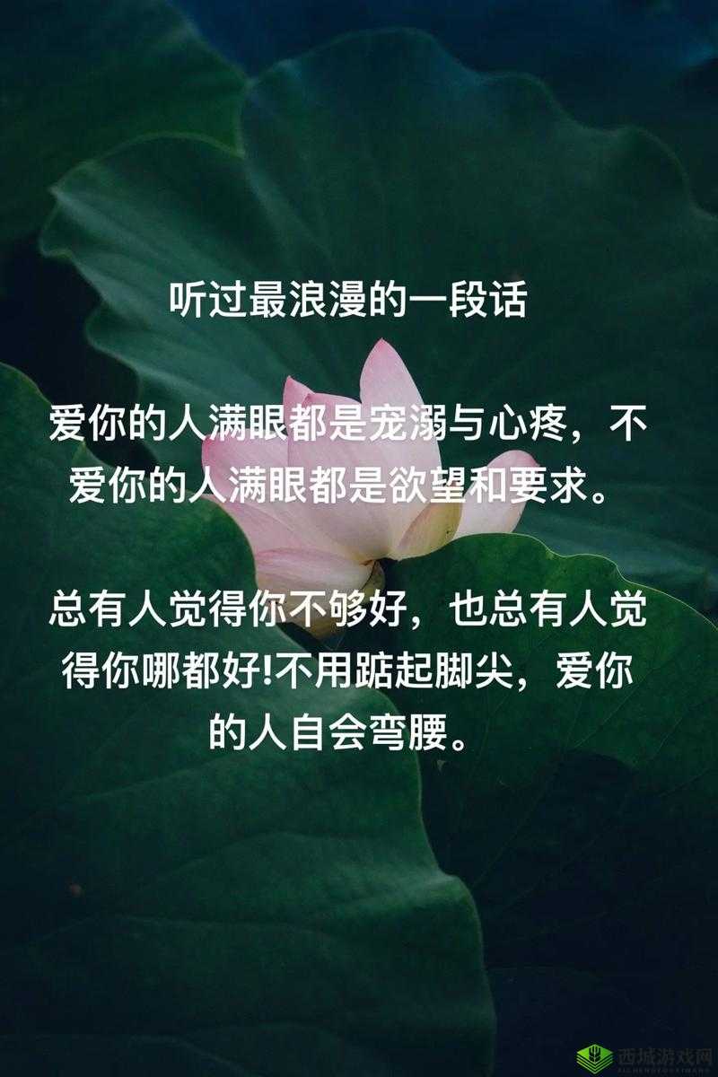 巨茎帅哥 GV 视频网站：震撼视觉体验，满足你的欲望