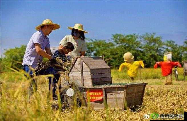 耕种姨妈肥沃土地，开启丰收之旅