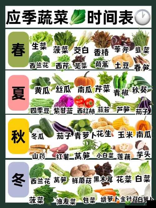 草莓樱桃丝瓜秋葵榴莲黄瓜大全：水果、蔬菜、水果、蔬菜的完美搭配