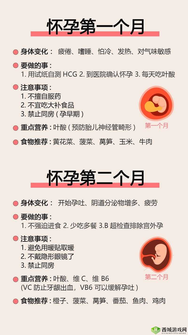 如何让母亲怀孕：科学备孕与注意事项