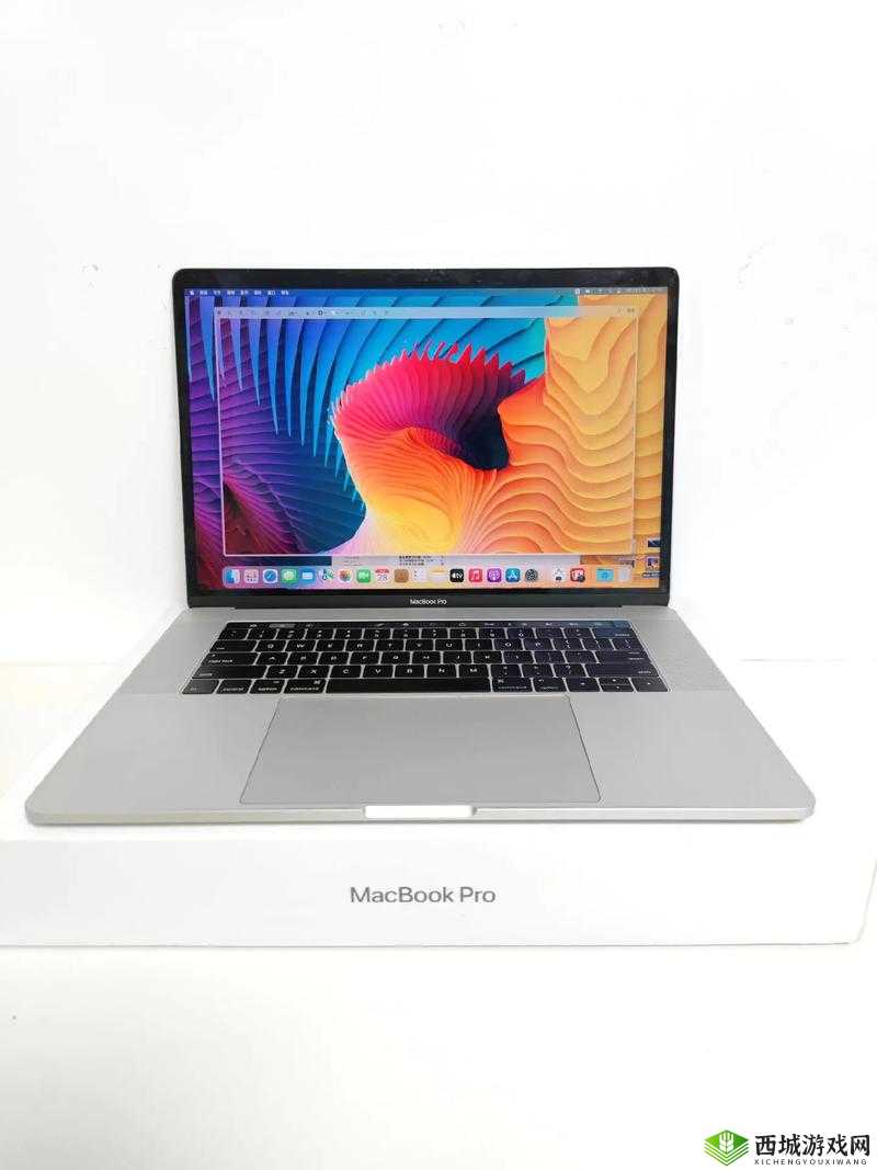 18 岁选 18 寸 MacBook Pro 高清本