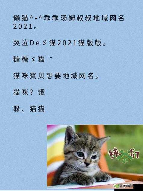 猫咪最新永久地域网名是什么：探寻猫咪的神秘世界