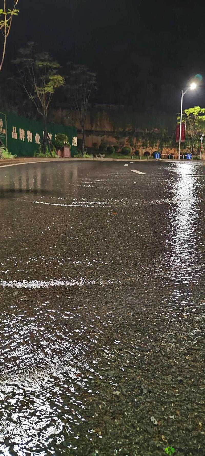 下面湿漉漉的像是刚下过雨：雨后的景象