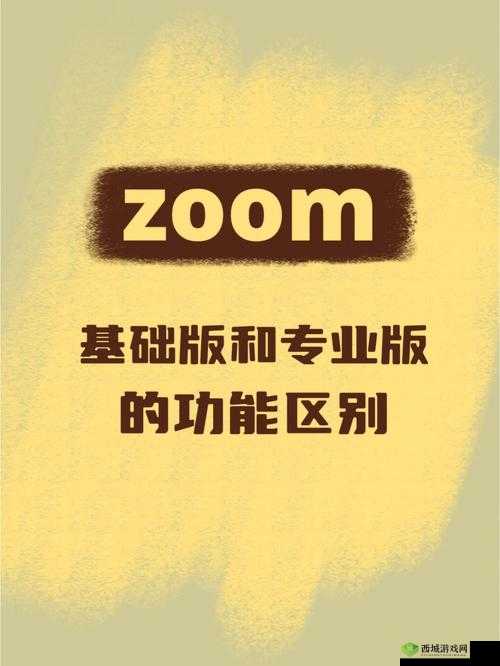 Zoom 与人马性 Zoom 的区别是什么