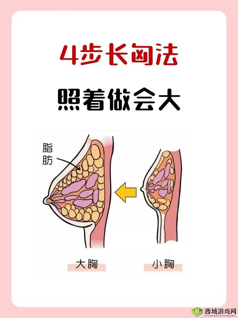 怎么可以让女生的胸变大一点：探索有效的自然方法