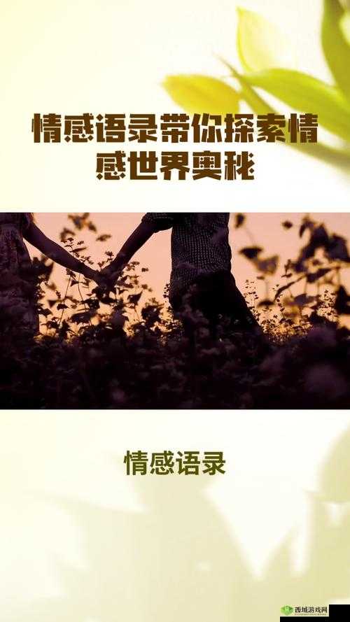 多少厘米可以让女孩子哭：探索背后的情感奥秘