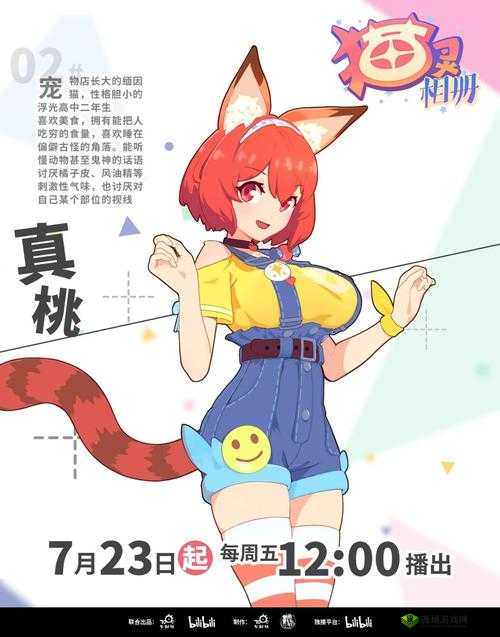 猫灵相册中旅行道具的详细作用与功能全面介绍解析