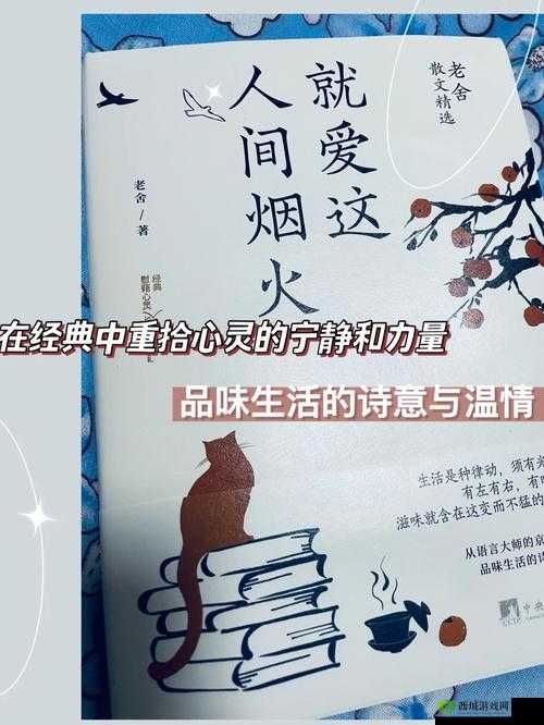 久久丫忘忧草产品：带来美味与心灵的慰藉