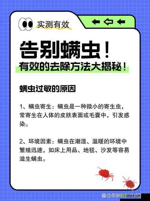 螨虫，生活中的难以察觉的微小威胁及其有效的应对策略