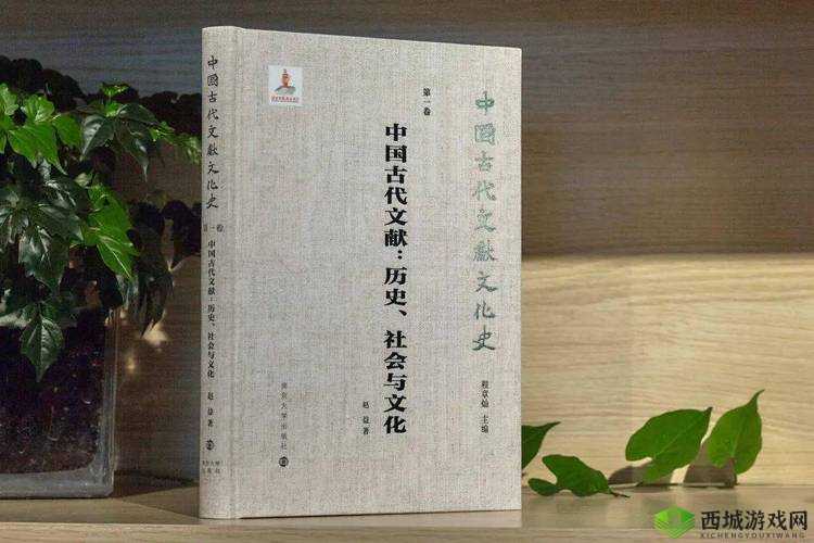 老女人逼逼败火：探究其历史、文化与社会意义