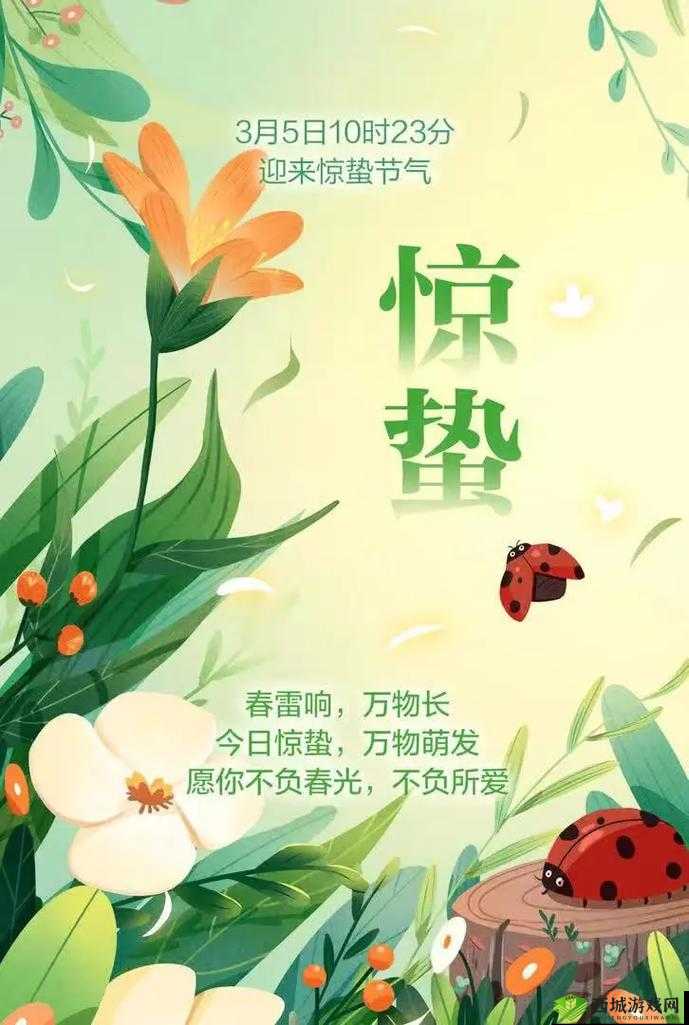 双人游戏 BY 春雨惊蛰：一场趣味与挑战并存的精彩互动之旅