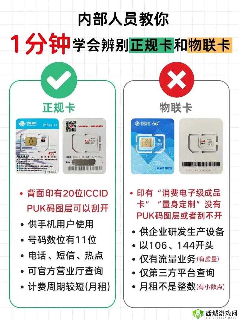 卡 1 和卡 2 有何区别？探究背后的奥秘