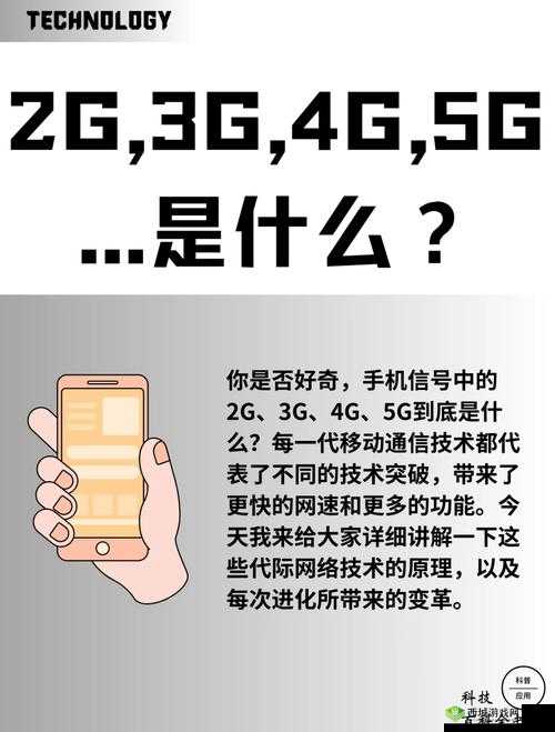 天天 5g 天天爽：带你体验超高速的全新精彩世界