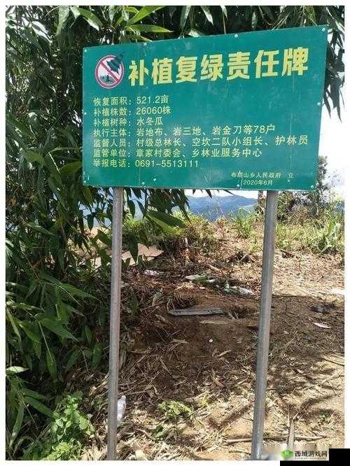 云南勐海严厉打击种茶毁林行为，全力守护当地绿水青山生态环境