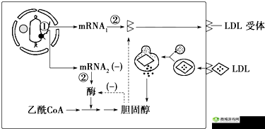 yw193跳转接口永不失联的来源：探究其背后的稳定机制