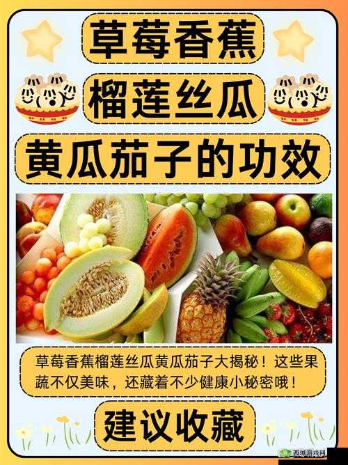 草莓香蕉榴莲丝瓜 18 岁能否食用探讨