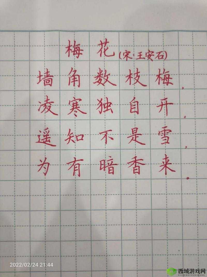 梅花楷书作品：展现传统书法艺术的独特魅力与韵味