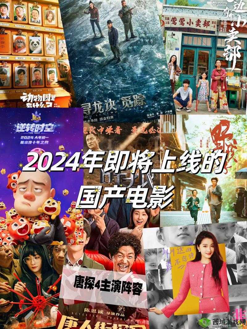 最好看的 2024 中文大全电影之精彩影视盘点推荐