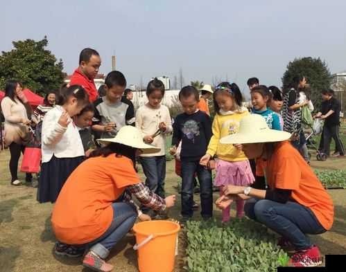 小森生活全攻略，解锁农林升级高效秘籍，助你圆满打造专属田园梦想