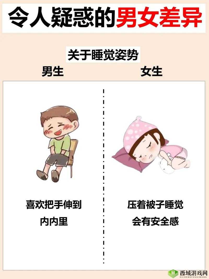 男生和女生差差差：关于男女差异的全面探讨与分析