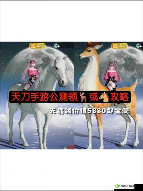 天涯明月刀手游美食探索，揭秘白雪鸡背后的传奇故事