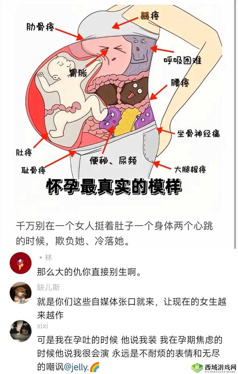 free 孕妇 video 毛茸茸：揭秘孕期女性身体的奇妙变化