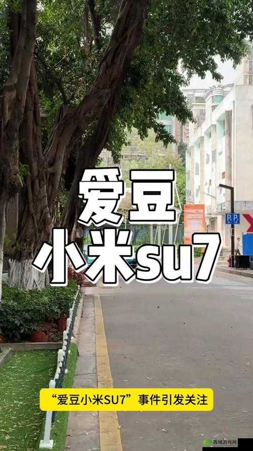 爱豆传媒小米 su7 视频：一部精彩绝伦的视觉盛宴呈现