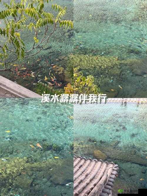 快穿：泉水潺潺中的奇幻之旅