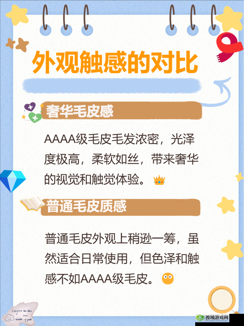 AAAA 级毛皮是纯还是仿：深度解析其背后的真相与鉴别方法