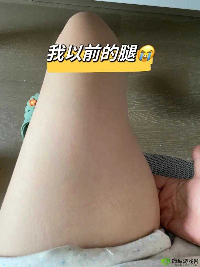 大腿中间一张嘴顺口溜：腿间秘密与奇趣现象揭秘