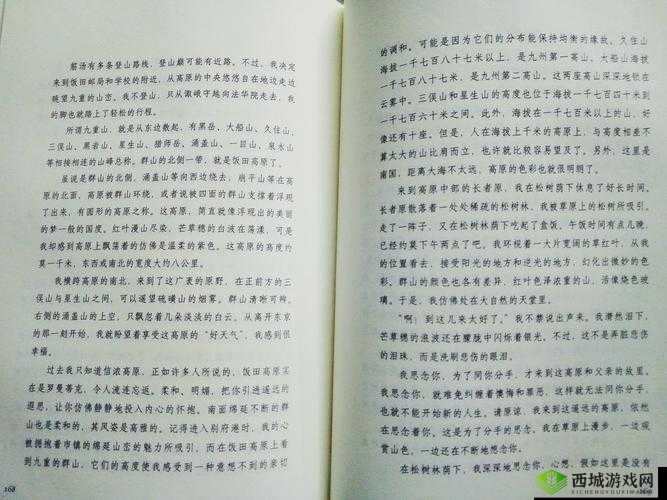 公的浮之手中字 5 剧情解析：深度剖析背后的故事线索与情感纠葛