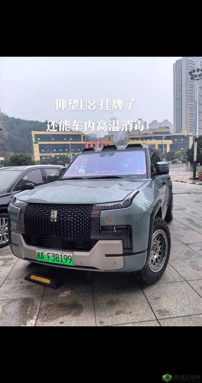 国产 SUV 精二区九色的独特魅力与特点解析