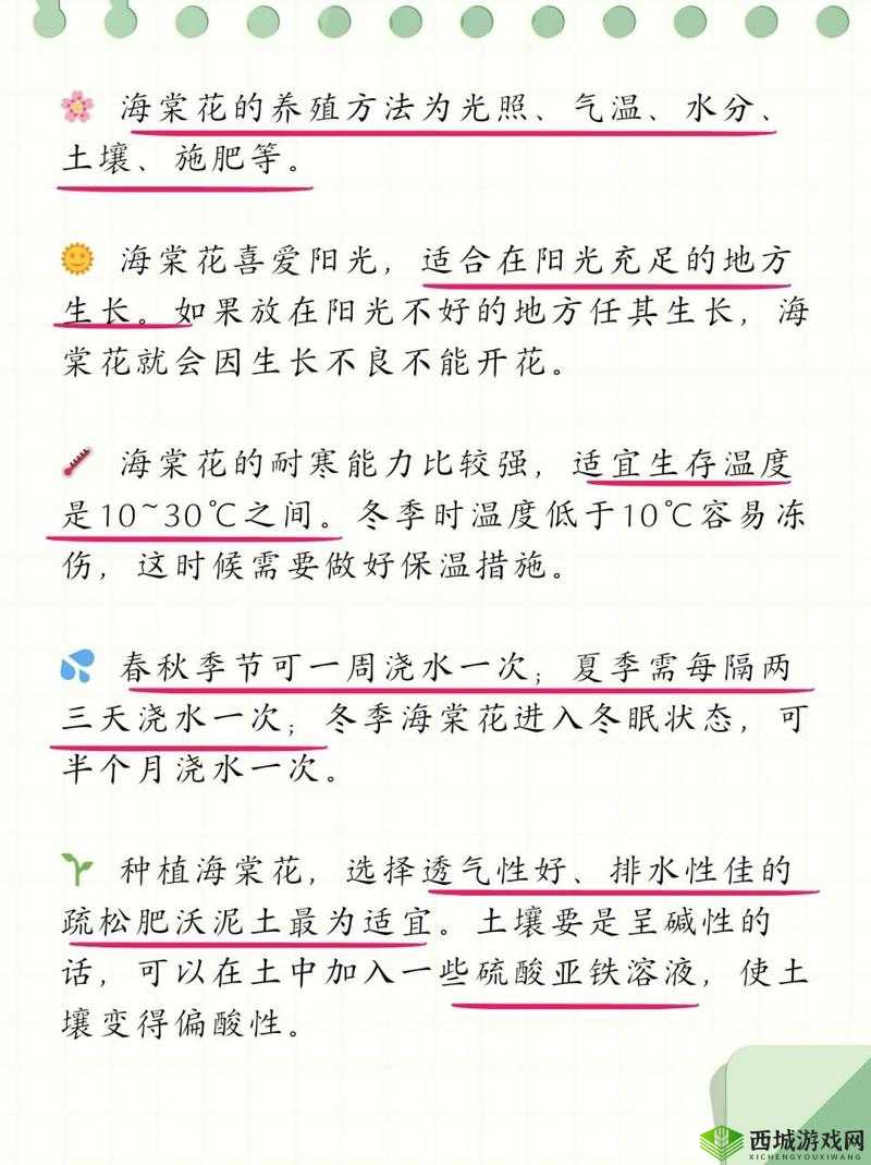 如何顺利进入海棠进行精彩看文的方法探讨