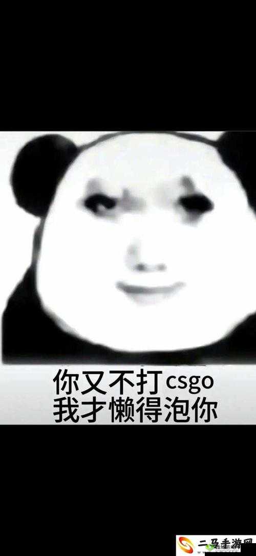 暴躁老姐的CSGO心得分享视频：深度剖析游戏致胜关键