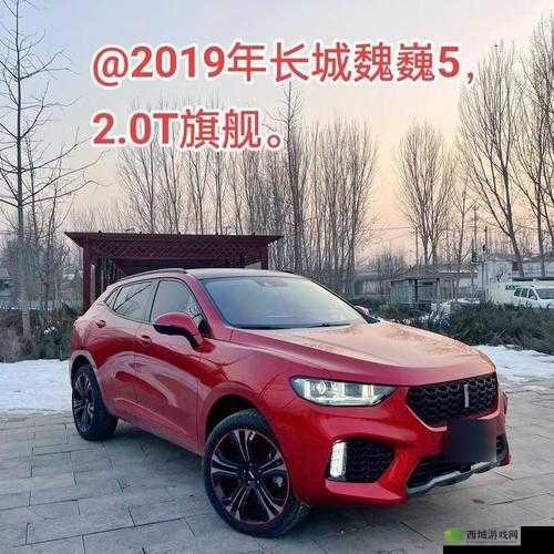 引领国产 SUV 新时代：WEYVV5 国产的 SUV 领袖