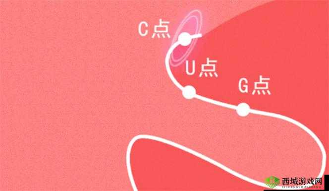 自 W 的方法教程图片：详细步骤与实用技巧解析