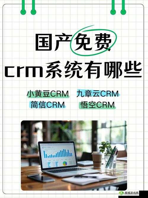 国内永久免费 SaaS CRM：开启高效客户管理新时代