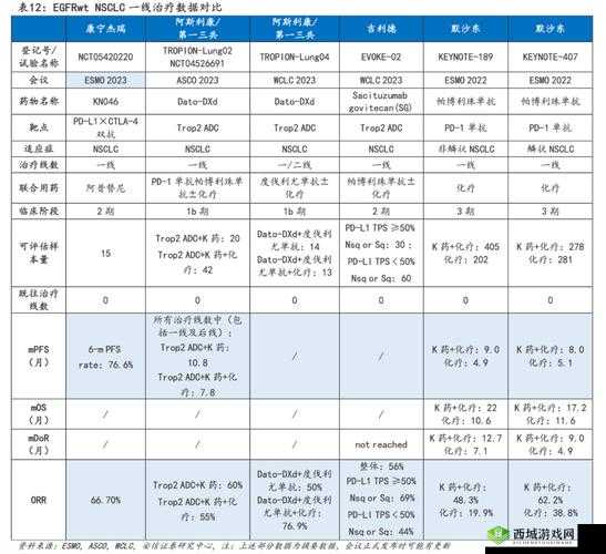 adc 满十八岁年龄确认 19216801：这是一个重要的标识信息