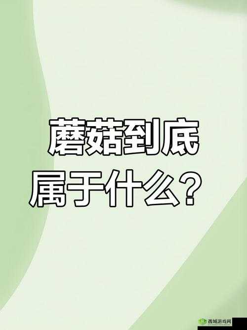 17c 独家爆料黑料蘑菇：背后真相令人震惊