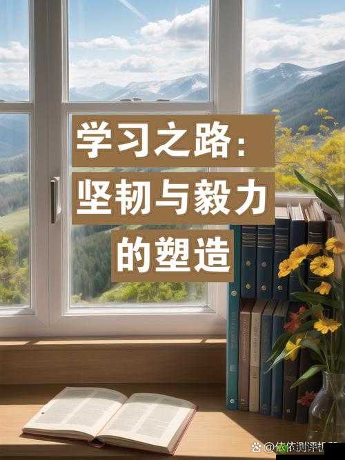 晓可耐性：探索坚韧与毅力的奥秘