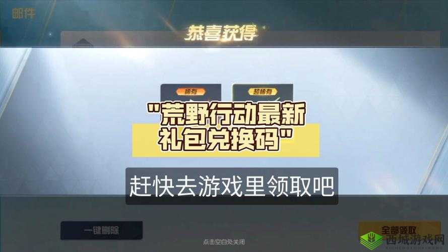 荒野行动游戏内搜索好友功能Bug深度探讨，为何无法找到好友共同获胜