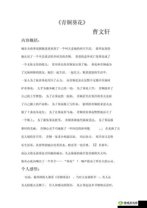 关于精品内容的独特阐述与精彩呈现