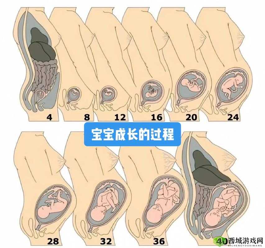 生孩子的地方，你知道几个？