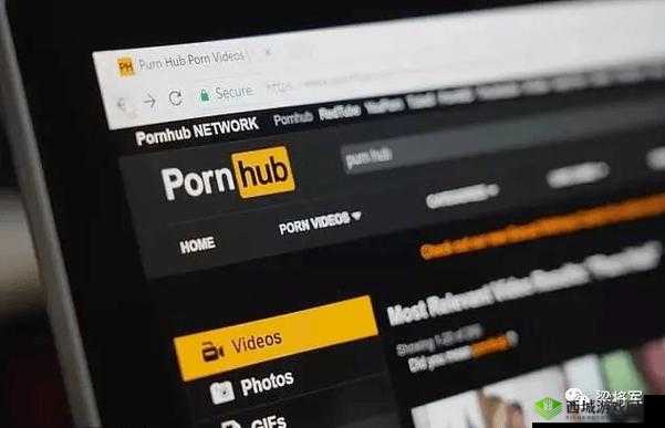 Pornhub观看入口相关问题探讨，如何找到Pornhub观看入口？其具体途径是什么？