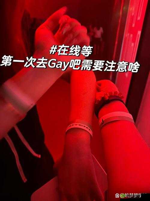 Gaylive在线观看：哪里可以找到高质量的Gaylive在线观看资源？快来了解