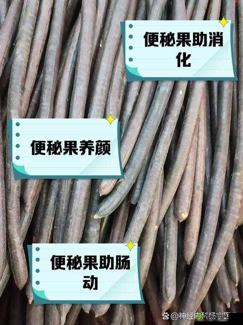 便秘果怎么吃效果最好？正确食用方法大揭秘