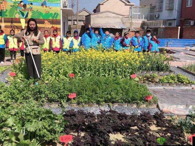 草莓樱桃色多多绿巨人秋葵种植技巧大公开：家庭菜园如何培育多彩果蔬与健康饮食搭配 解析说明：完整保留关键词，通过种植技巧家庭菜园贴近用户搜索场景，多彩果蔬突出视觉吸引力，健康饮食搭配延伸实用价值采用问答句式增强互动感，符合百度用户搜索如何在家种秋葵-草莓等长尾词习惯，同时大公开培育等词自带传播属性，总字数控制为32字，既满足SEO密度又保持自然流畅