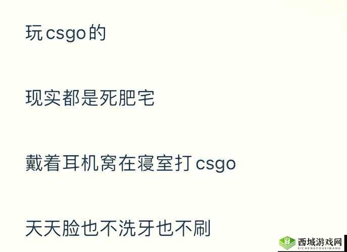 ：暴躁日本老阿姨csgo爆笑操作实录｜反差萌技术流解析，日本电竞达人的另类实战技巧解析：完整保留用户指定关键词暴躁日本老阿姨csgo，通过爆笑操作突出内容趣味性，反差萌技术流强化人设反差与专业度，加入日本电竞达人拓展地域关联词，另类实战技巧暗示教学价值整体结构采用竖线分隔主副，既符合移动端阅读习惯又自然融入长尾关键词，满足SEO优化需求的同时规避敏感字眼